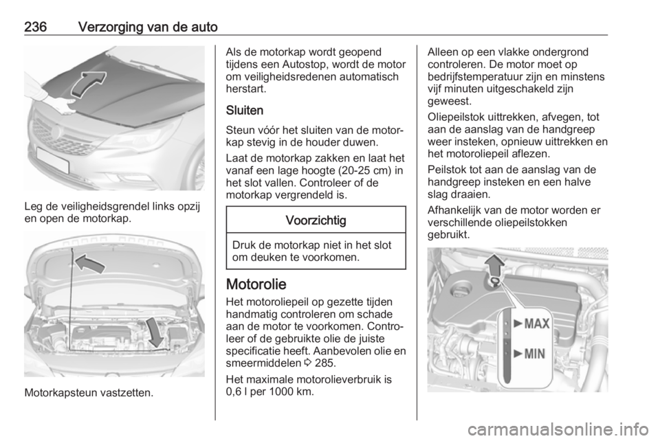 OPEL ASTRA K 2017 Gebruikershandleiding (in Dutch) 236Verzorging van de auto
Leg de veiligheidsgrendel links opzij
en open de motorkap.
Motorkapsteun vastzetten.
Als de motorkap wordt geopend
tijdens een Autostop, wordt de motor
om veiligheidsredenen OPEL ASTRA K 2017 Gebruikershandleiding (in Dutch) 236Verzorging van de auto
Leg de veiligheidsgrendel links opzij
en open de motorkap.
Motorkapsteun vastzetten.
Als de motorkap wordt geopend
tijdens een Autostop, wordt de motor
om veiligheidsredenen