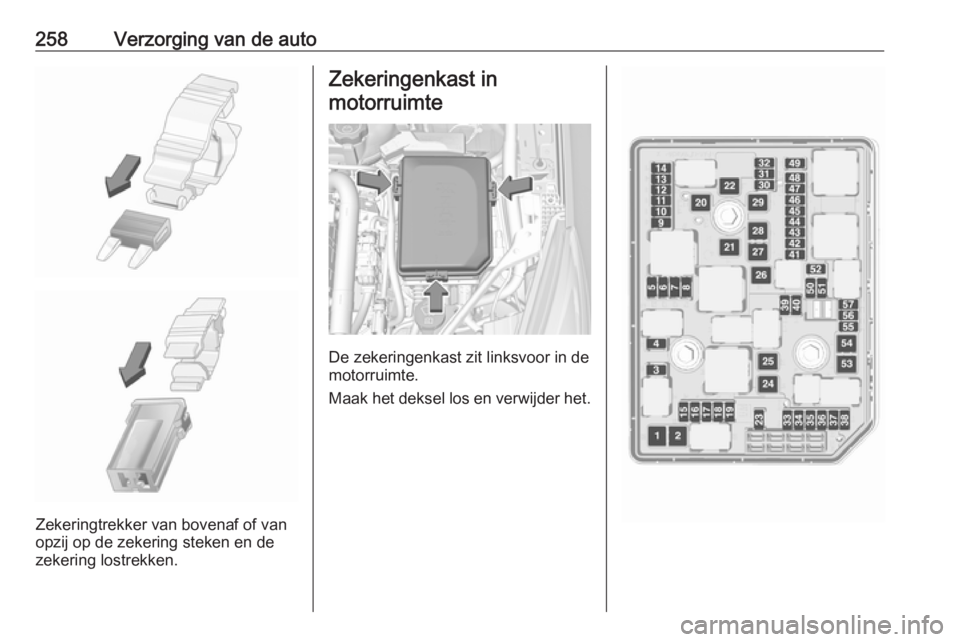 OPEL ASTRA K 2018  Gebruikershandleiding (in Dutch) 258Verzorging van de auto
Zekeringtrekker van bovenaf of van
opzij op de zekering steken en de
zekering lostrekken.
Zekeringenkast in
motorruimte
De zekeringenkast zit linksvoor in de
motorruimte.
Maa