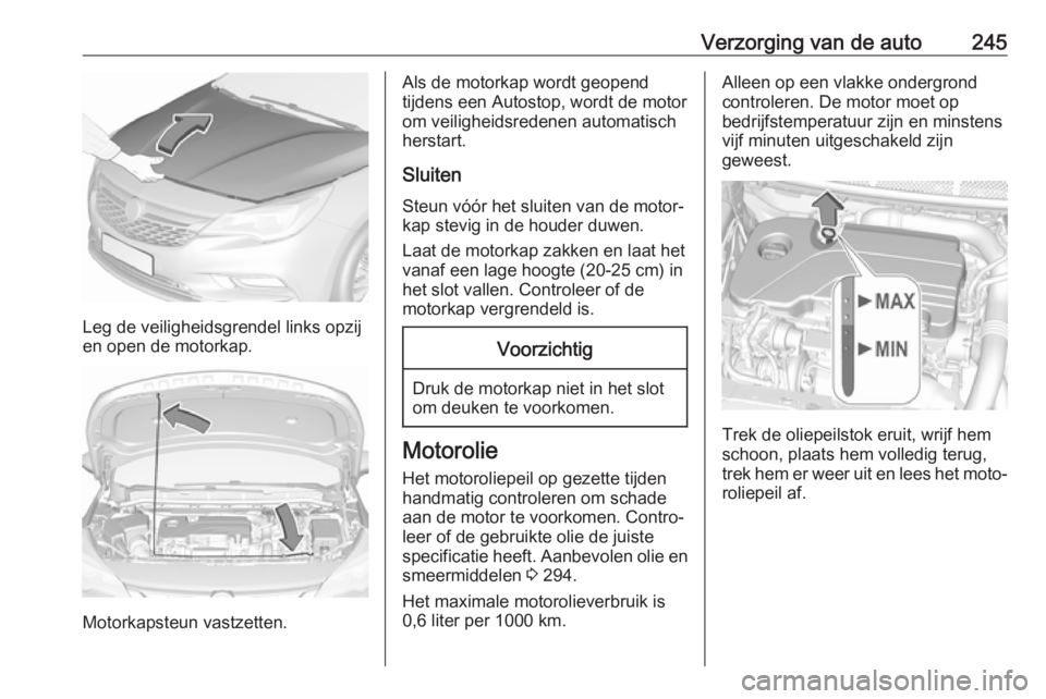 OPEL ASTRA K 2018.75  Gebruikershandleiding (in Dutch) Verzorging van de auto245
Leg de veiligheidsgrendel links opzij
en open de motorkap.
Motorkapsteun vastzetten.
Als de motorkap wordt geopend
tijdens een Autostop, wordt de motor
om veiligheidsredenen 