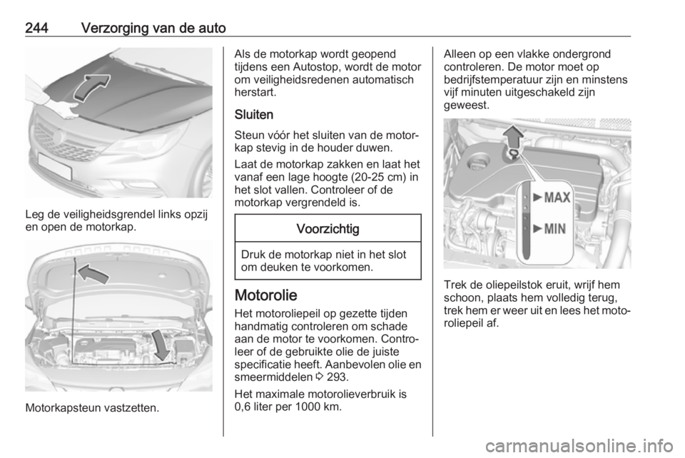 OPEL ASTRA K 2019 Gebruikershandleiding (in Dutch) 244Verzorging van de auto
Leg de veiligheidsgrendel links opzij
en open de motorkap.
Motorkapsteun vastzetten.
Als de motorkap wordt geopend
tijdens een Autostop, wordt de motor
om veiligheidsredenen OPEL ASTRA K 2019 Gebruikershandleiding (in Dutch) 244Verzorging van de auto
Leg de veiligheidsgrendel links opzij
en open de motorkap.
Motorkapsteun vastzetten.
Als de motorkap wordt geopend
tijdens een Autostop, wordt de motor
om veiligheidsredenen