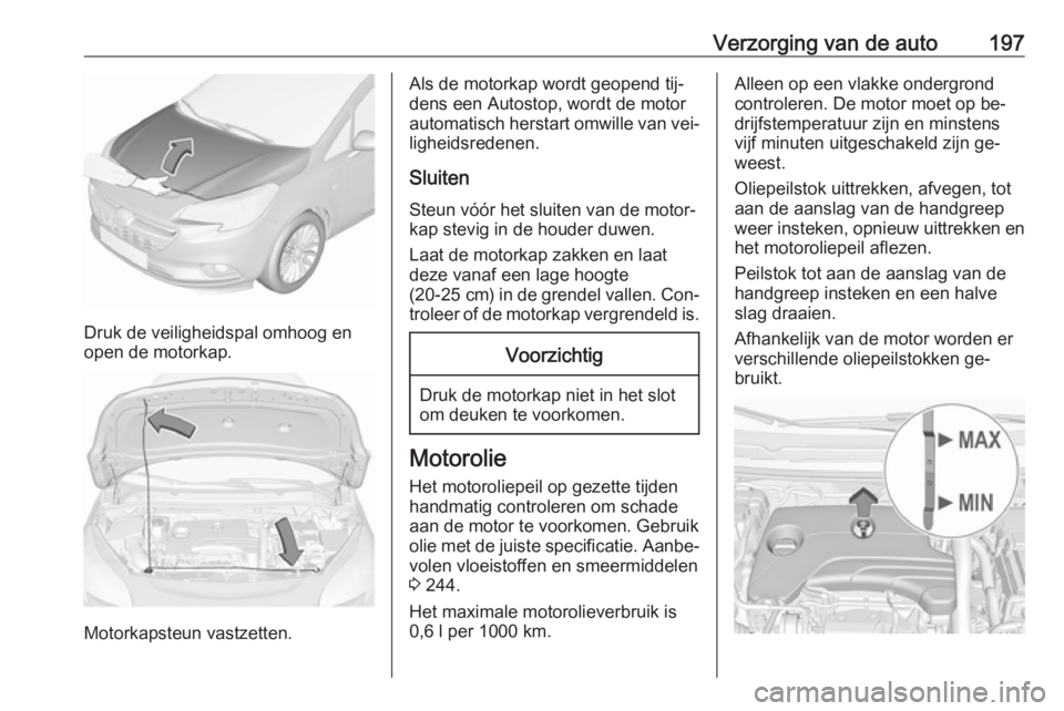 OPEL CORSA 2016 Gebruikershandleiding (in Dutch) Verzorging van de auto197
Druk de veiligheidspal omhoog en
open de motorkap.
Motorkapsteun vastzetten.
Als de motorkap wordt geopend tij‐
dens een Autostop, wordt de motor automatisch herstart omwil OPEL CORSA 2016 Gebruikershandleiding (in Dutch) Verzorging van de auto197
Druk de veiligheidspal omhoog en
open de motorkap.
Motorkapsteun vastzetten.
Als de motorkap wordt geopend tij‐
dens een Autostop, wordt de motor automatisch herstart omwil