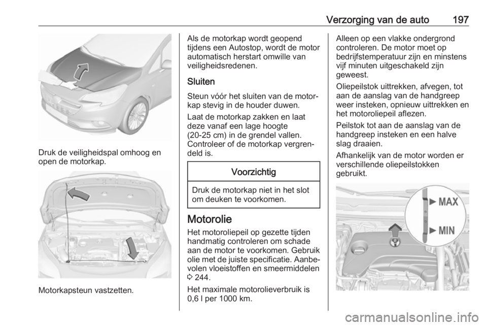 OPEL CORSA 2017 Gebruikershandleiding (in Dutch) Verzorging van de auto197
Druk de veiligheidspal omhoog en
open de motorkap.
Motorkapsteun vastzetten.
Als de motorkap wordt geopend
tijdens een Autostop, wordt de motor
automatisch herstart omwille v OPEL CORSA 2017 Gebruikershandleiding (in Dutch) Verzorging van de auto197
Druk de veiligheidspal omhoog en
open de motorkap.
Motorkapsteun vastzetten.
Als de motorkap wordt geopend
tijdens een Autostop, wordt de motor
automatisch herstart omwille v
