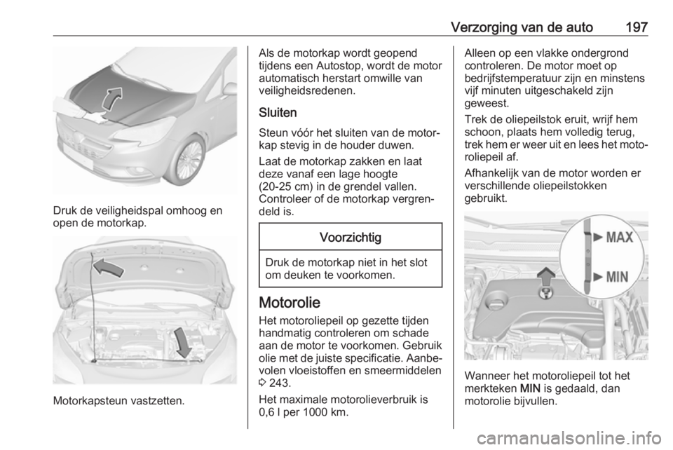 OPEL CORSA E 2018 Gebruikershandleiding (in Dutch) Verzorging van de auto197
Druk de veiligheidspal omhoog en
open de motorkap.
Motorkapsteun vastzetten.
Als de motorkap wordt geopend
tijdens een Autostop, wordt de motor
automatisch herstart omwille v OPEL CORSA E 2018 Gebruikershandleiding (in Dutch) Verzorging van de auto197
Druk de veiligheidspal omhoog en
open de motorkap.
Motorkapsteun vastzetten.
Als de motorkap wordt geopend
tijdens een Autostop, wordt de motor
automatisch herstart omwille v