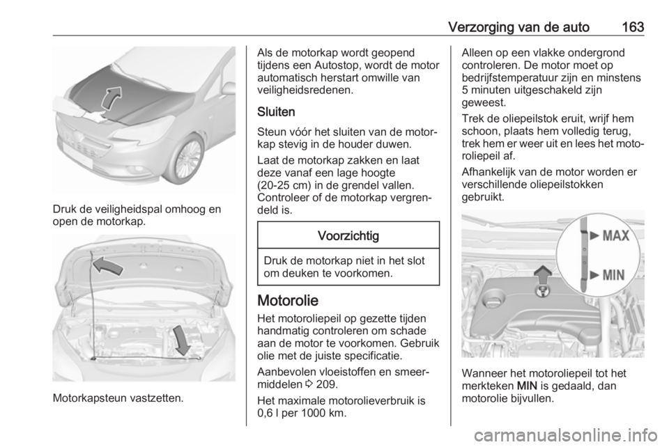 OPEL CORSA E 2019 Gebruikershandleiding (in Dutch) Verzorging van de auto163
Druk de veiligheidspal omhoog en
open de motorkap.
Motorkapsteun vastzetten.
Als de motorkap wordt geopend
tijdens een Autostop, wordt de motor
automatisch herstart omwille v OPEL CORSA E 2019 Gebruikershandleiding (in Dutch) Verzorging van de auto163
Druk de veiligheidspal omhoog en
open de motorkap.
Motorkapsteun vastzetten.
Als de motorkap wordt geopend
tijdens een Autostop, wordt de motor
automatisch herstart omwille v