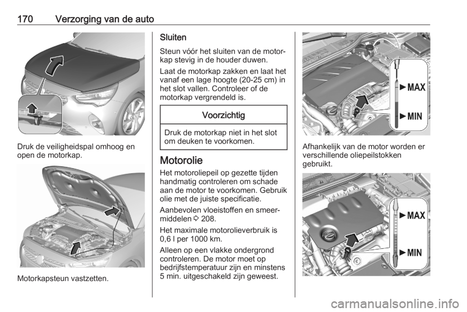 OPEL CORSA F 2020  Gebruikershandleiding (in Dutch) 170Verzorging van de auto
Druk de veiligheidspal omhoog en
open de motorkap.
Motorkapsteun vastzetten.
Sluiten
Steun vóór het sluiten van de motor‐
kap stevig in de houder duwen.
Laat de motorkap 