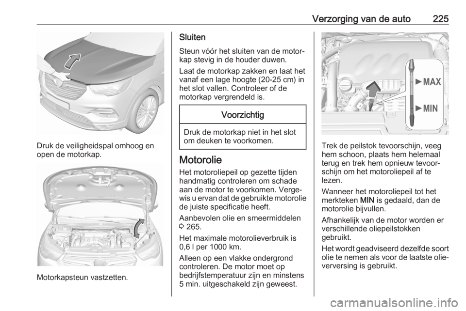 OPEL GRANDLAND X 2020 Gebruikershandleiding (in Dutch) Verzorging van de auto225
Druk de veiligheidspal omhoog en
open de motorkap.
Motorkapsteun vastzetten.
Sluiten
Steun vóór het sluiten van de motor‐
kap stevig in de houder duwen.
Laat de motorkap OPEL GRANDLAND X 2020 Gebruikershandleiding (in Dutch) Verzorging van de auto225
Druk de veiligheidspal omhoog en
open de motorkap.
Motorkapsteun vastzetten.
Sluiten
Steun vóór het sluiten van de motor‐
kap stevig in de houder duwen.
Laat de motorkap