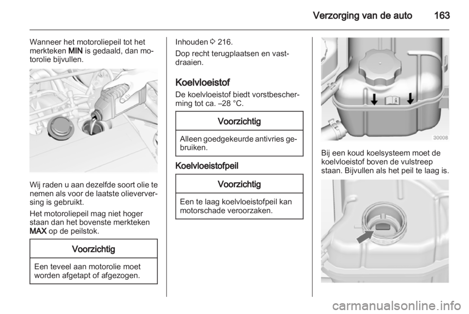 OPEL INSIGNIA 2010  Gebruikershandleiding (in Dutch) 