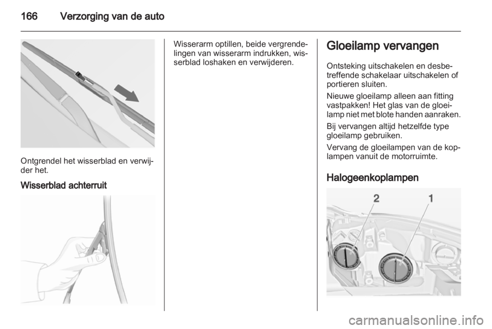 OPEL INSIGNIA 2010  Gebruikershandleiding (in Dutch) 