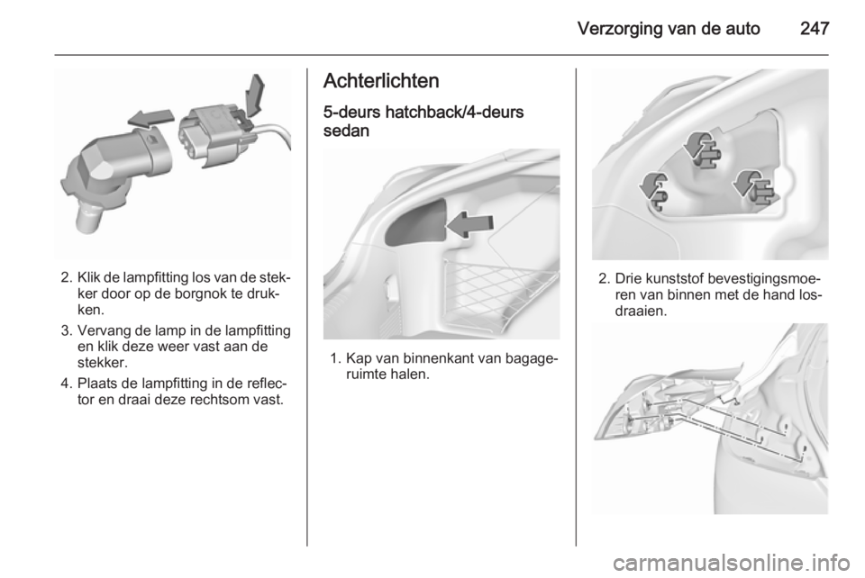 OPEL INSIGNIA 2015.5  Gebruikershandleiding (in Dutch) Verzorging van de auto247
2.Klik de lampfitting los van de stek‐
ker door op de borgnok te druk‐
ken.
3. Vervang de lamp in de lampfitting
en klik deze weer vast aan de
stekker.
4. Plaats de lampf