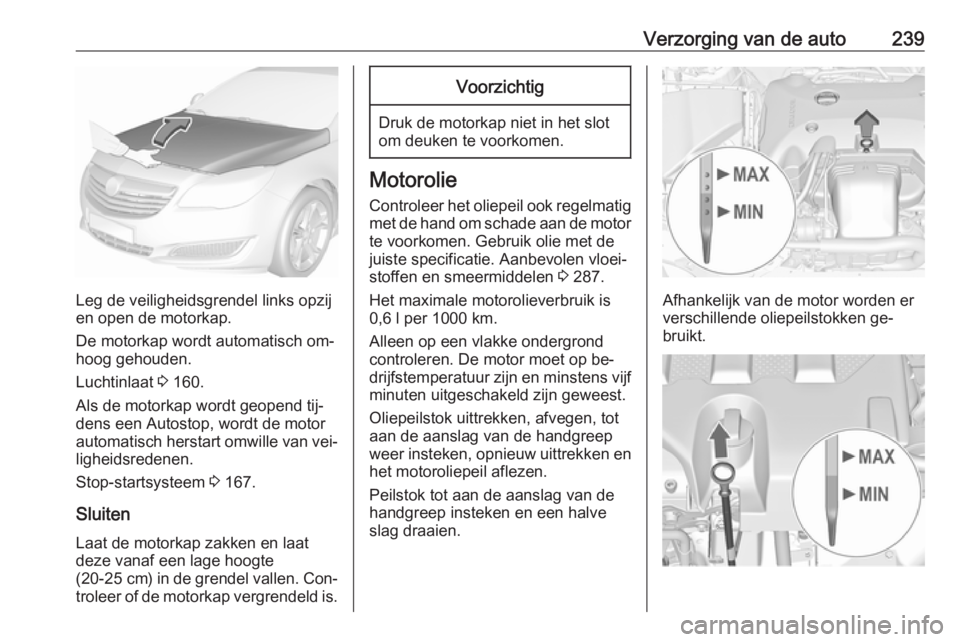 OPEL INSIGNIA 2016  Gebruikershandleiding (in Dutch) Verzorging van de auto239
Leg de veiligheidsgrendel links opzij
en open de motorkap.
De motorkap wordt automatisch om‐ hoog gehouden.
Luchtinlaat  3 160.
Als de motorkap wordt geopend tij‐
dens ee