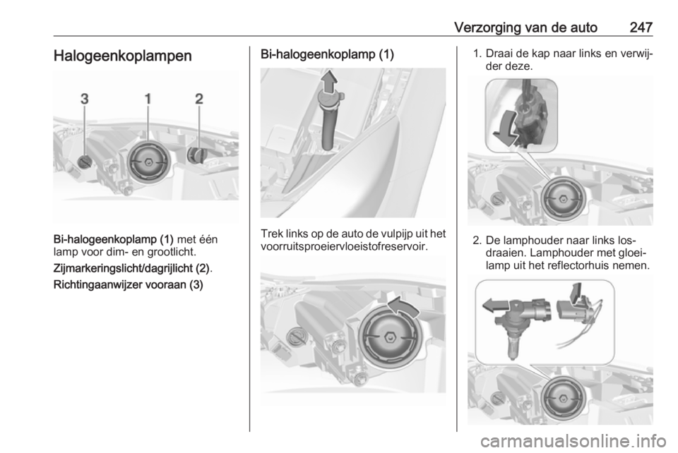 OPEL INSIGNIA 2016  Gebruikershandleiding (in Dutch) Verzorging van de auto247Halogeenkoplampen
Bi-halogeenkoplamp (1) met één
lamp voor dim- en grootlicht.
Zijmarkeringslicht/dagrijlicht (2) .
Richtingaanwijzer vooraan (3)
Bi-halogeenkoplamp (1)
Trek