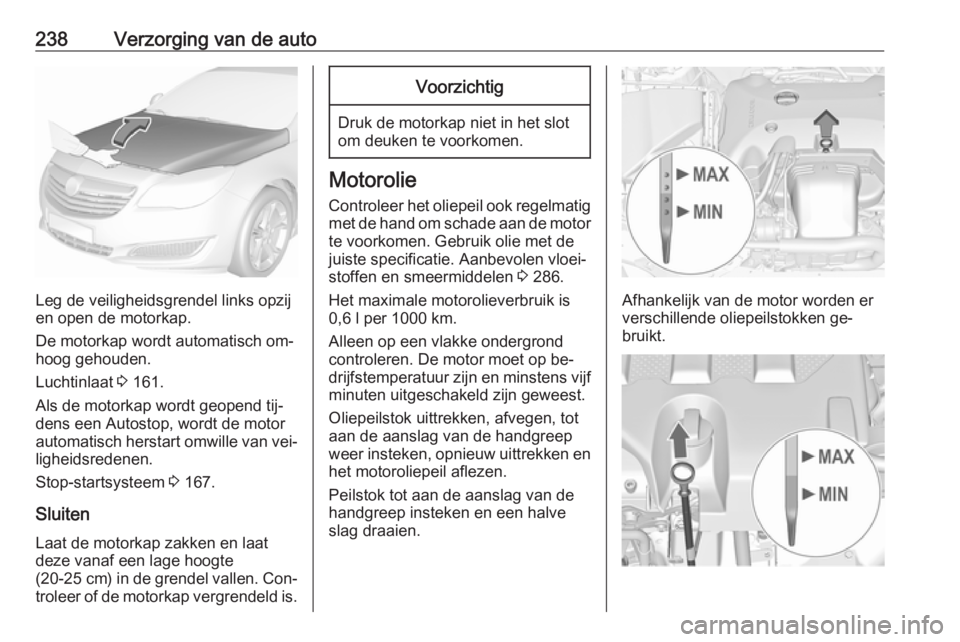 OPEL INSIGNIA 2016.5 Gebruikershandleiding (in Dutch) 238Verzorging van de auto
Leg de veiligheidsgrendel links opzij
en open de motorkap.
De motorkap wordt automatisch om‐ hoog gehouden.
Luchtinlaat 3 161.
Als de motorkap wordt geopend tij‐
dens ee OPEL INSIGNIA 2016.5 Gebruikershandleiding (in Dutch) 238Verzorging van de auto
Leg de veiligheidsgrendel links opzij
en open de motorkap.
De motorkap wordt automatisch om‐ hoog gehouden.
Luchtinlaat 3 161.
Als de motorkap wordt geopend tij‐
dens ee