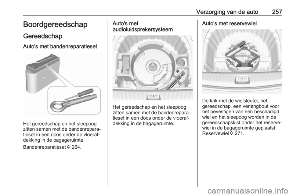 OPEL INSIGNIA BREAK 2017.5 Gebruikershandleiding (in Dutch) Verzorging van de auto257Boordgereedschap
Gereedschap Auto's met bandenreparatieset
Het gereedschap en het sleepoog
zitten samen met de bandenrepara‐
tieset in een doos onder de vloeraf‐
dekki OPEL INSIGNIA BREAK 2017.5 Gebruikershandleiding (in Dutch) Verzorging van de auto257Boordgereedschap
Gereedschap Auto's met bandenreparatieset
Het gereedschap en het sleepoog
zitten samen met de bandenrepara‐
tieset in een doos onder de vloeraf‐
dekki