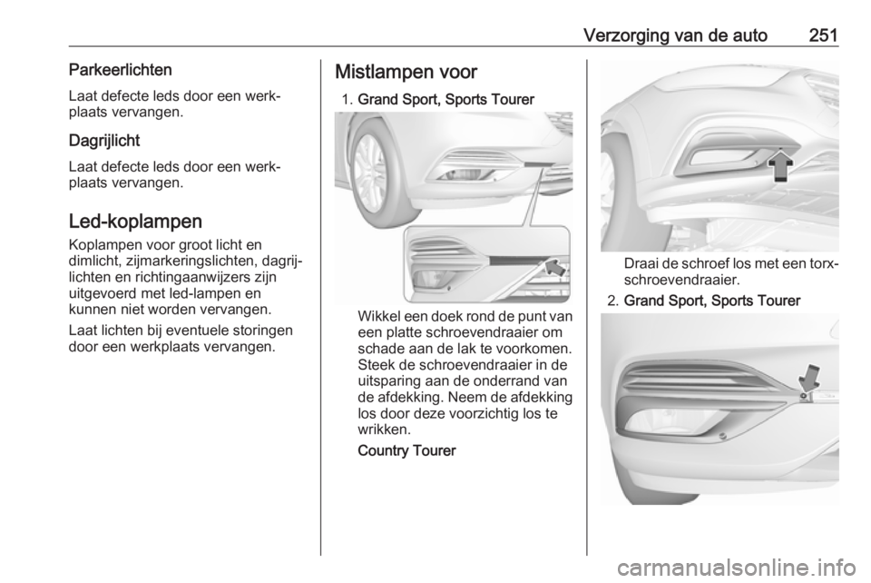 OPEL INSIGNIA BREAK 2020  Gebruikershandleiding (in Dutch) Verzorging van de auto251ParkeerlichtenLaat defecte leds door een werk‐
plaats vervangen.
Dagrijlicht Laat defecte leds door een werk‐
plaats vervangen.
Led-koplampen Koplampen voor groot licht en