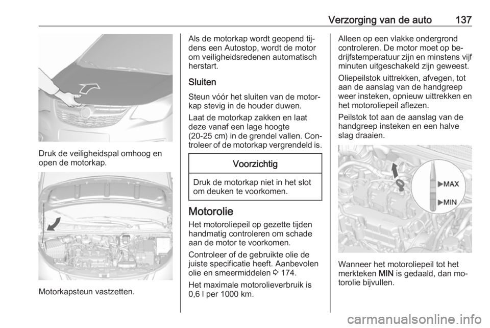 OPEL KARL 2016.5 Gebruikershandleiding (in Dutch) Verzorging van de auto137
Druk de veiligheidspal omhoog en
open de motorkap.
Motorkapsteun vastzetten.
Als de motorkap wordt geopend tij‐
dens een Autostop, wordt de motor om veiligheidsredenen auto OPEL KARL 2016.5 Gebruikershandleiding (in Dutch) Verzorging van de auto137
Druk de veiligheidspal omhoog en
open de motorkap.
Motorkapsteun vastzetten.
Als de motorkap wordt geopend tij‐
dens een Autostop, wordt de motor om veiligheidsredenen auto
