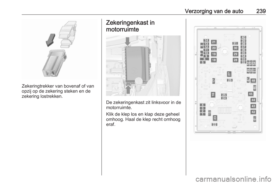 OPEL ZAFIRA C 2017  Gebruikershandleiding (in Dutch) Verzorging van de auto239
Zekeringtrekker van bovenaf of van
opzij op de zekering steken en de
zekering lostrekken.
Zekeringenkast in
motorruimte
De zekeringenkast zit linksvoor in de
motorruimte.
Kli OPEL ZAFIRA C 2017  Gebruikershandleiding (in Dutch) Verzorging van de auto239
Zekeringtrekker van bovenaf of van
opzij op de zekering steken en de
zekering lostrekken.
Zekeringenkast in
motorruimte
De zekeringenkast zit linksvoor in de
motorruimte.
Kli