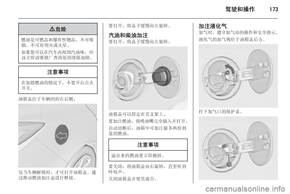 OPEL INSIGNIA 2014.5  车主手册 (in Chinese) 驾驶和操作1739危险
燃油是可燃品和爆炸性物品 。不可吸
烟。不可有明火或火星。
如果您可以在汽车内闻到汽油味 ，应
该立即请维修厂查清原因排除