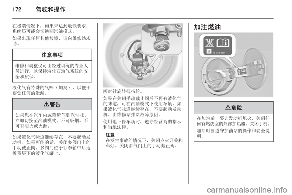 OPEL INSIGNIA 2015  车主手册 (in Chinese) 172驾驶和操作
在极端情况下，如果未达到最低要求，系统还可能会切换回汽油模式。
如果出现任何其他故障，请向维修站求
助。注意事项
维修和调整