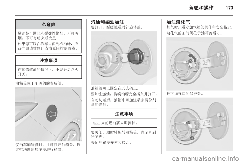 OPEL INSIGNIA 2015  车主手册 (in Chinese) 驾驶和操作1739危险
燃油是可燃品和爆炸性物品 。不可吸
烟。不可有明火或火星。
如果您可以在汽车内闻到汽油味 ，应
该立即请维修厂查清原因排除