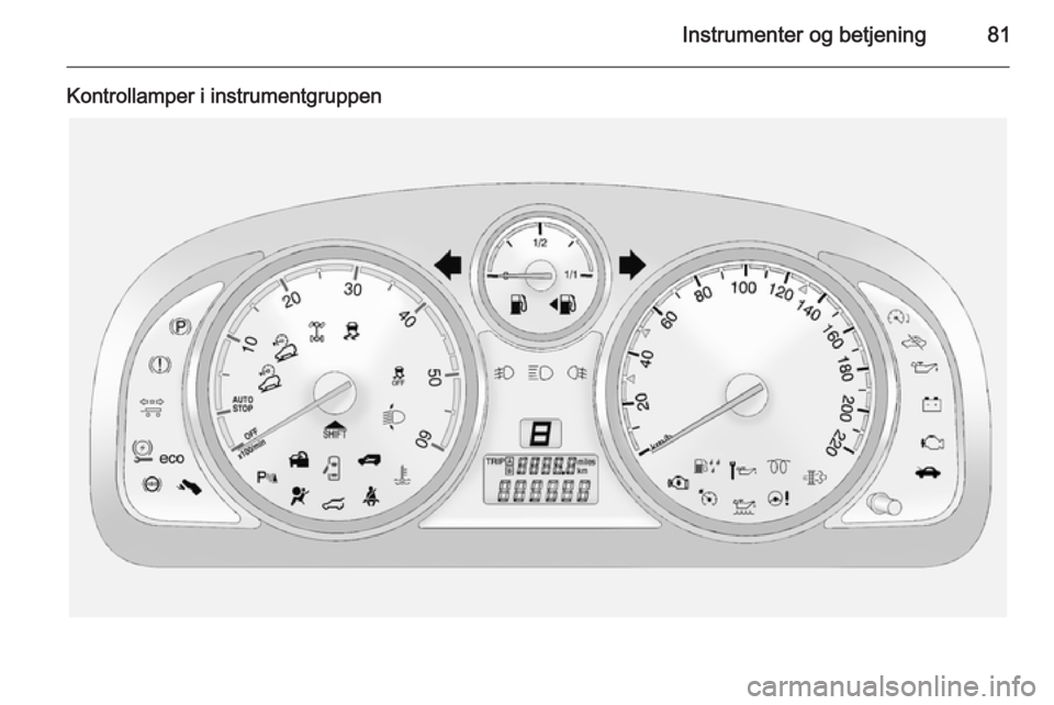 OPEL ANTARA 2014.5  Instruktionsbog (in Danish) Instrumenter og betjening81
Kontrollamper i instrumentgruppen 