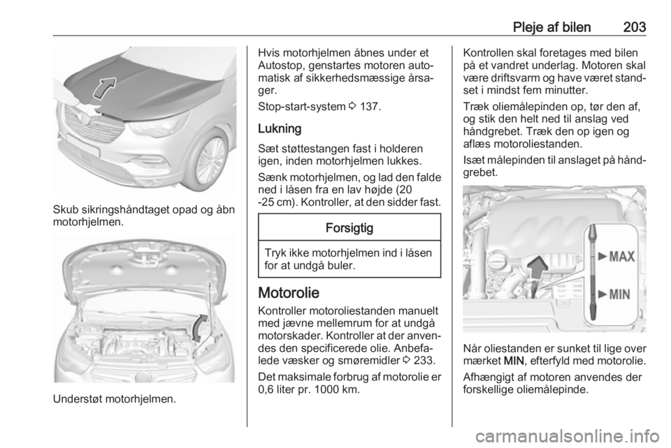 OPEL GRANDLAND X 2018 Instruktionsbog (in Danish) Pleje af bilen203
Skub sikringshåndtaget opad og åbn
motorhjelmen.
Understøt motorhjelmen.
Hvis motorhjelmen åbnes under et
Autostop, genstartes motoren auto‐
matisk af sikkerhedsmæssige årsa OPEL GRANDLAND X 2018 Instruktionsbog (in Danish) Pleje af bilen203
Skub sikringshåndtaget opad og åbn
motorhjelmen.
Understøt motorhjelmen.
Hvis motorhjelmen åbnes under et
Autostop, genstartes motoren auto‐
matisk af sikkerhedsmæssige årsa