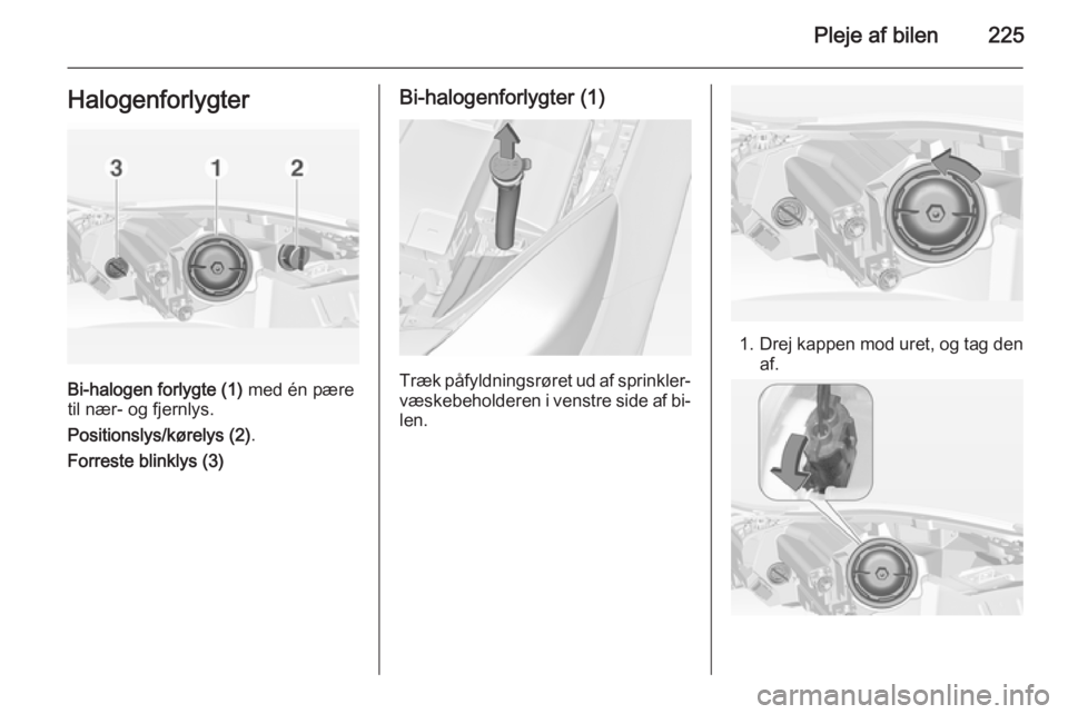 OPEL INSIGNIA 2015 Instruktionsbog (in Danish) Pleje af bilen225Halogenforlygter
Bi-halogen forlygte (1) med én pære
til nær- og fjernlys.
Positionslys/kørelys (2) .
Forreste blinklys (3)
Bi-halogenforlygter (1)
Træk påfyldningsrøret ud af OPEL INSIGNIA 2015 Instruktionsbog (in Danish) Pleje af bilen225Halogenforlygter
Bi-halogen forlygte (1) med én pære
til nær- og fjernlys.
Positionslys/kørelys (2) .
Forreste blinklys (3)
Bi-halogenforlygter (1)
Træk påfyldningsrøret ud af