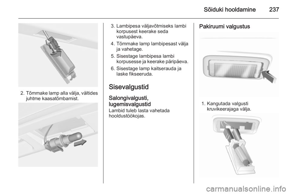 OPEL INSIGNIA 2014  Omaniku käsiraamat (in Estonian) Sõiduki hooldamine237
2.Tõmmake lamp alla välja, vältides
juhtme kaasatõmbamist.
3. Lambipesa väljavõtmiseks lambi korpusest keerake seda
vastupäeva.
4. Tõmmake lamp lambipesast välja
ja vah