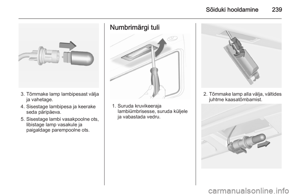 OPEL INSIGNIA 2014.5  Omaniku käsiraamat (in Estonian) Sõiduki hooldamine239
3.Tõmmake lamp lambipesast välja
ja vahetage.
4. Sisestage lambipesa ja keerake seda päripäeva.
5. Sisestage lambi vasakpoolne ots,
libistage lamp vasakule ja
paigaldage par
