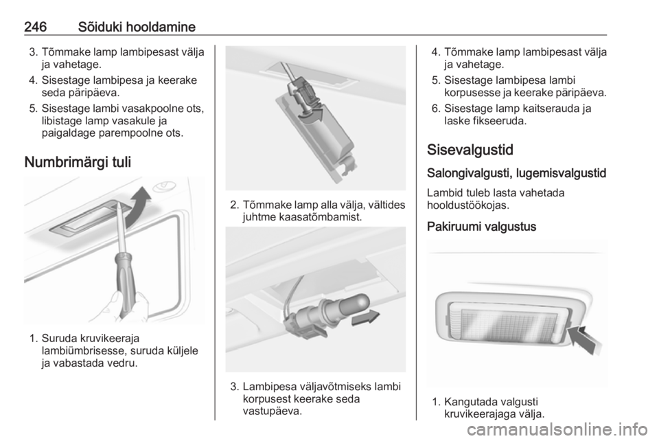 OPEL INSIGNIA 2016.5  Omaniku käsiraamat (in Estonian) 246Sõiduki hooldamine3.Tõmmake lamp lambipesast välja
ja vahetage.
4. Sisestage lambipesa ja keerake seda päripäeva.
5. Sisestage lambi vasakpoolne ots,
libistage lamp vasakule ja
paigaldage pare