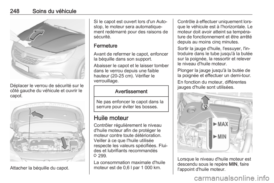 OPEL ASTRA K 2017.5 Manuel dutilisation (in French) 248Soins du véhicule
Déplacer le verrou de sécurité sur le
côté gauche du véhicule et ouvrir le
capot.
Attacher la béquille du capot.
Si le capot est ouvert lors d'un Auto‐
stop, le mote OPEL ASTRA K 2017.5 Manuel dutilisation (in French) 248Soins du véhicule
Déplacer le verrou de sécurité sur le
côté gauche du véhicule et ouvrir le
capot.
Attacher la béquille du capot.
Si le capot est ouvert lors d'un Auto‐
stop, le mote