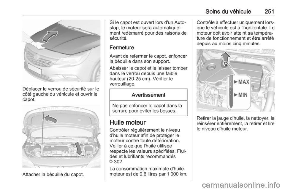 OPEL ASTRA K 2018.5  Manuel dutilisation (in French) Soins du véhicule251
Déplacer le verrou de sécurité sur le
côté gauche du véhicule et ouvrir le
capot.
Attacher la béquille du capot.
Si le capot est ouvert lors d'un Auto‐
stop, le mote