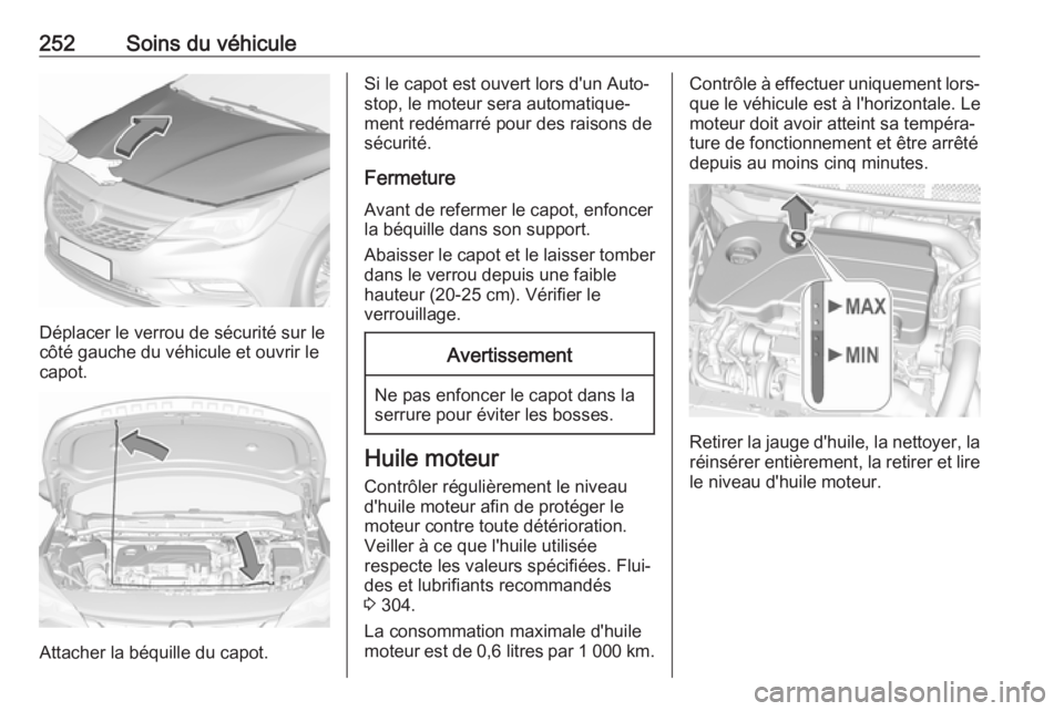 OPEL ASTRA K 2019 Manuel dutilisation (in French) 252Soins du véhicule
Déplacer le verrou de sécurité sur le
côté gauche du véhicule et ouvrir le
capot.
Attacher la béquille du capot.
Si le capot est ouvert lors d'un Auto‐
stop, le mote OPEL ASTRA K 2019 Manuel dutilisation (in French) 252Soins du véhicule
Déplacer le verrou de sécurité sur le
côté gauche du véhicule et ouvrir le
capot.
Attacher la béquille du capot.
Si le capot est ouvert lors d'un Auto‐
stop, le mote