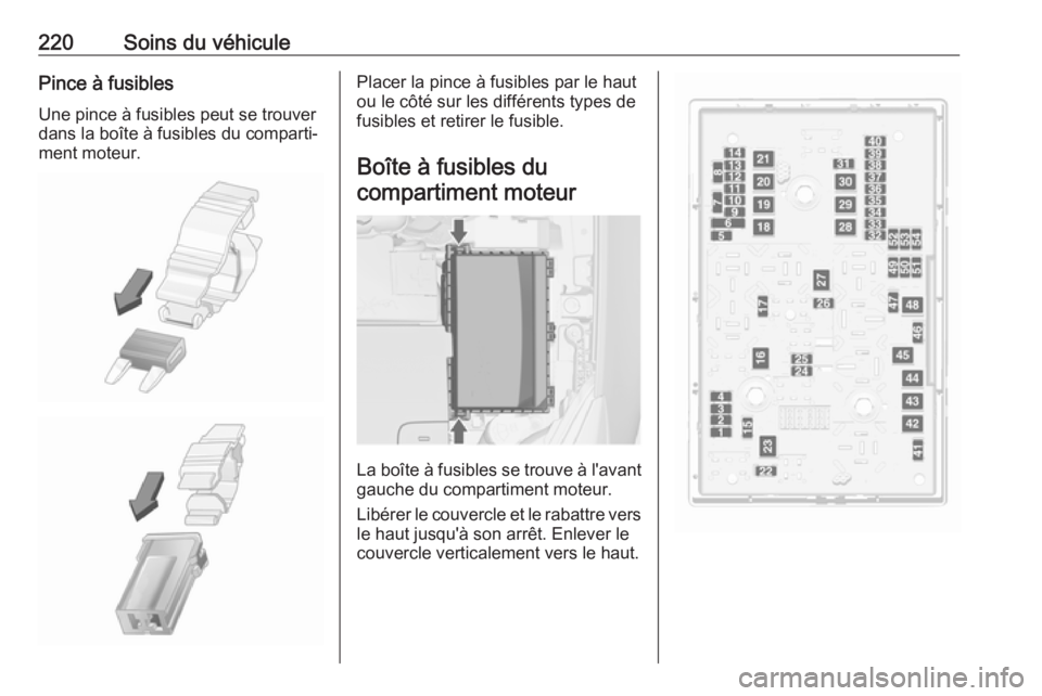 OPEL CASCADA 2016  Manuel dutilisation (in French) 220Soins du véhiculePince à fusiblesUne pince à fusibles peut se trouver
dans la boîte à fusibles du comparti‐
ment moteur.Placer la pince à fusibles par le haut
ou le côté sur les différen