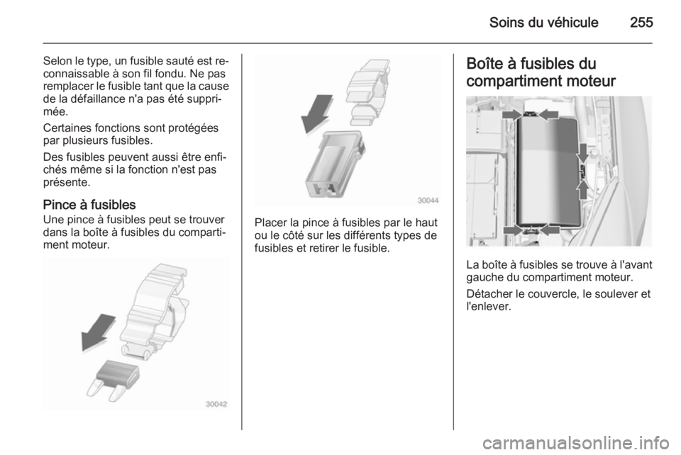 OPEL INSIGNIA 2015 Manuel dutilisation (in French) Soins du véhicule255
Selon le type, un fusible sauté est re‐
connaissable à son fil fondu. Ne pas
remplacer le fusible tant que la cause
de la défaillance n'a pas été suppri‐
mée.
Certa OPEL INSIGNIA 2015 Manuel dutilisation (in French) Soins du véhicule255
Selon le type, un fusible sauté est re‐
connaissable à son fil fondu. Ne pas
remplacer le fusible tant que la cause
de la défaillance n'a pas été suppri‐
mée.
Certa