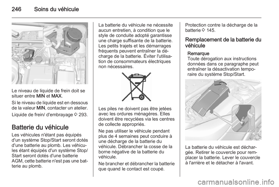 OPEL INSIGNIA 2015.5  Manuel dutilisation (in French) 246Soins du véhicule
Le niveau de liquide de frein doit se
situer entre  MIN et MAX .
Si le niveau de liquide est en dessous
de la valeur  MIN, contacter un atelier.
Liquide de frein/ d'embrayage