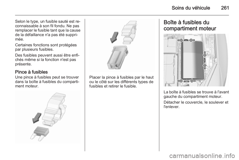 OPEL INSIGNIA 2015.5 Manuel dutilisation (in French) Soins du véhicule261
Selon le type, un fusible sauté est re‐
connaissable à son fil fondu. Ne pas
remplacer le fusible tant que la cause
de la défaillance n'a pas été suppri‐
mée.
Certa OPEL INSIGNIA 2015.5 Manuel dutilisation (in French) Soins du véhicule261
Selon le type, un fusible sauté est re‐
connaissable à son fil fondu. Ne pas
remplacer le fusible tant que la cause
de la défaillance n'a pas été suppri‐
mée.
Certa