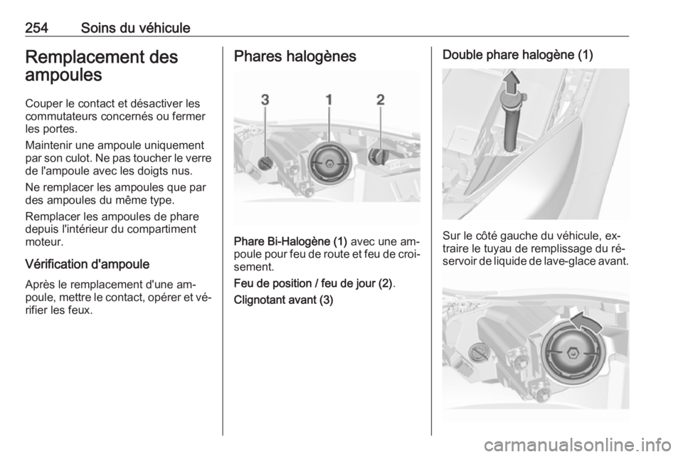 OPEL INSIGNIA 2016  Manuel dutilisation (in French) 254Soins du véhiculeRemplacement des
ampoules
Couper le contact et désactiver lescommutateurs concernés ou fermer
les portes.
Maintenir une ampoule uniquement
par son culot. Ne pas toucher le verre