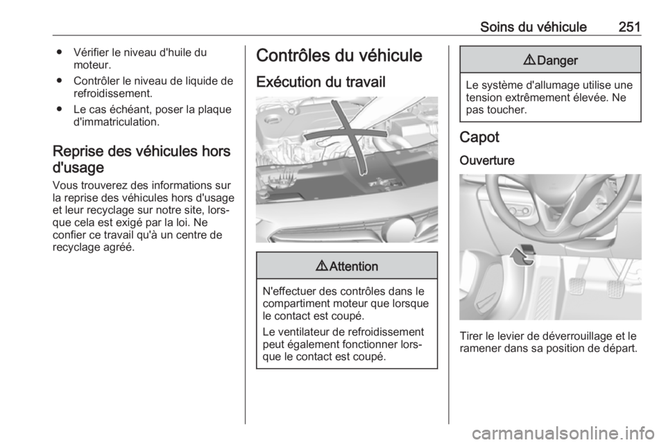 OPEL INSIGNIA BREAK 2020  Manuel dutilisation (in French) Soins du véhicule251● Vérifier le niveau d'huile dumoteur.
● Contrôler le niveau de liquide de refroidissement.
● Le cas échéant, poser la plaque d'immatriculation.
Reprise des véh