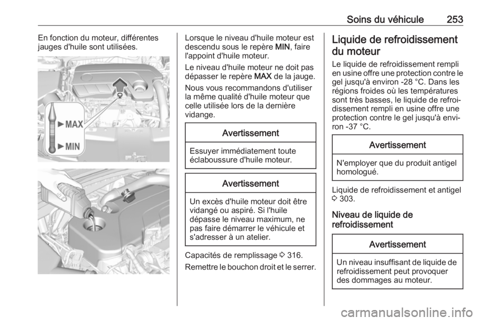 OPEL INSIGNIA BREAK 2020  Manuel dutilisation (in French) Soins du véhicule253En fonction du moteur, différentesjauges d'huile sont utilisées.Lorsque le niveau d'huile moteur est
descendu sous le repère  MIN, faire
l'appoint d'huile moteu