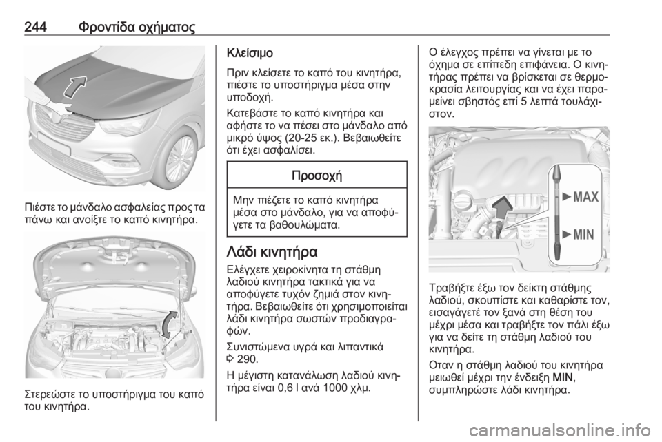 OPEL GRANDLAND X 2020  Εγχειρίδιο Οδηγιών Χρήσης και Λειτουργίας (in Greek) 244Φροντίδα οχήματος
Πιέστε το μάνδαλο ασφαλείας προς τα
πάνω και ανοίξτε το καπό κινητήρα.
Στερεώστε το υποστ