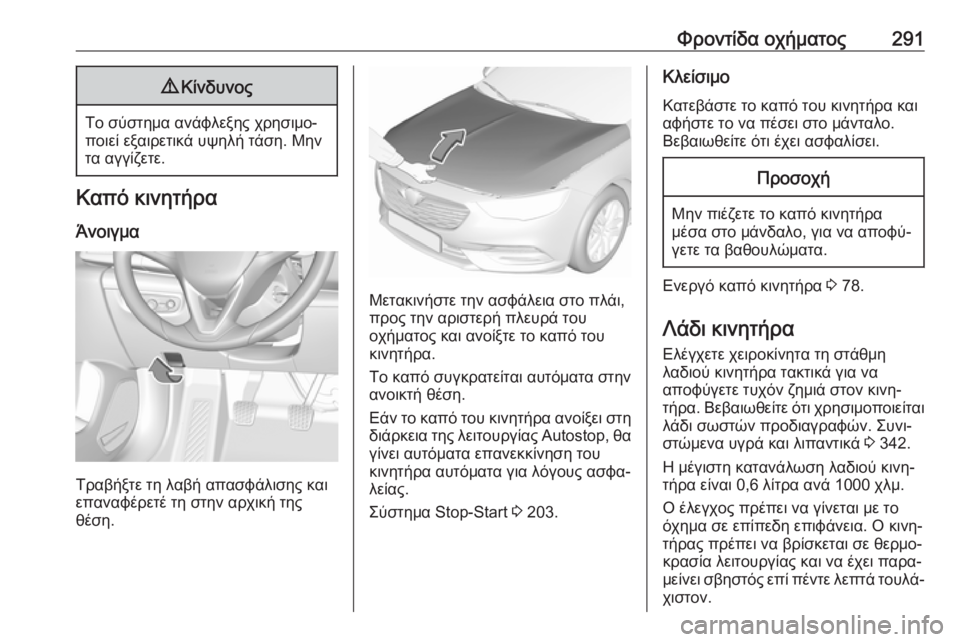 OPEL INSIGNIA BREAK 2019  Εγχειρίδιο Οδηγιών Χρήσης και Λειτουργίας (in Greek) Φροντίδα οχήματος2919Κίνδυνος
Το σύστημα ανάφλεξης χρησιμο‐
ποιεί εξαιρετικά υψηλή τάση. Μην τα αγγίζετε.
Καπ