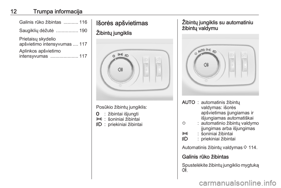 OPEL ADAM 2016.5  Savininko vadovas (in Lithuanian) 12Trumpa informacijaGalinis rūko žibintas ...........116
Saugiklių dėžutė  ................190
Prietaisų skydelio
apšvietimo intensyvumas ....117
Aplinkos apšvietimo
intensyvumas  ...........