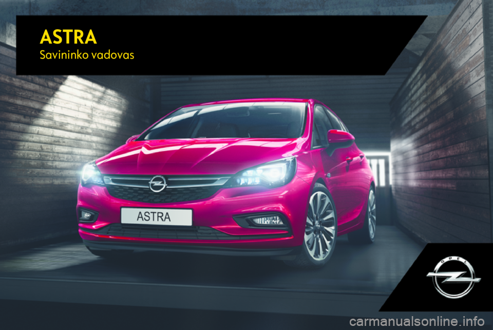 OPEL ASTRA K 2017  Savininko vadovas (in Lithuanian) 