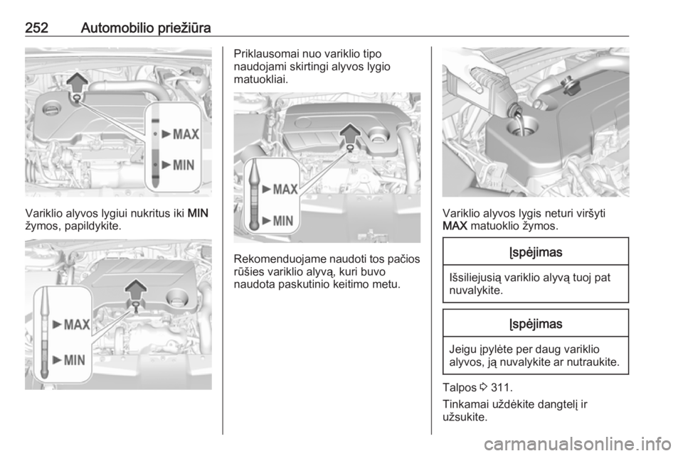 OPEL INSIGNIA BREAK 2017.75  Savininko vadovas (in Lithuanian) 252Automobilio priežiūra
Variklio alyvos lygiui nukritus iki MIN
žymos, papildykite.
Priklausomai nuo variklio tipo
naudojami skirtingi alyvos lygio
matuokliai.
Rekomenduojame naudoti tos pačios r