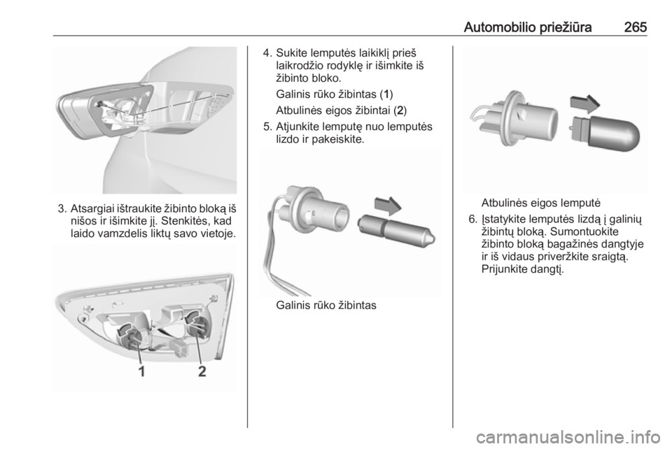 OPEL INSIGNIA BREAK 2017.75  Savininko vadovas (in Lithuanian) Automobilio priežiūra265
3.Atsargiai ištraukite žibinto bloką iš
nišos ir išimkite jį. Stenkitės, kad
laido vamzdelis liktų savo vietoje.
4. Sukite lemputės laikiklį prieš laikrodžio ro