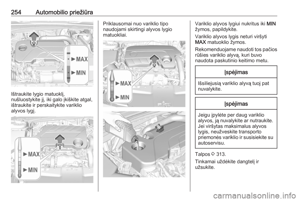 OPEL INSIGNIA BREAK 2019.5  Savininko vadovas (in Lithuanian) 254Automobilio priežiūra
Ištraukite lygio matuoklį,
nušluostykite jį, iki galo įkiškite atgal,
ištraukite ir perskaitykite variklio
alyvos lygį.
Priklausomai nuo variklio tipo
naudojami skir