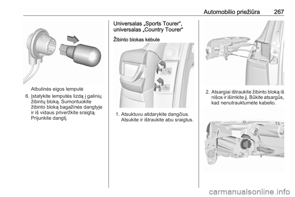 OPEL INSIGNIA BREAK 2019.5  Savininko vadovas (in Lithuanian) Automobilio priežiūra267
Atbulinės eigos lemputė
6. Įstatykite lemputės lizdą į galinių žibintų bloką. Sumontuokitežibinto bloką bagažinės dangtyje
ir iš vidaus priveržkite sraigtą.