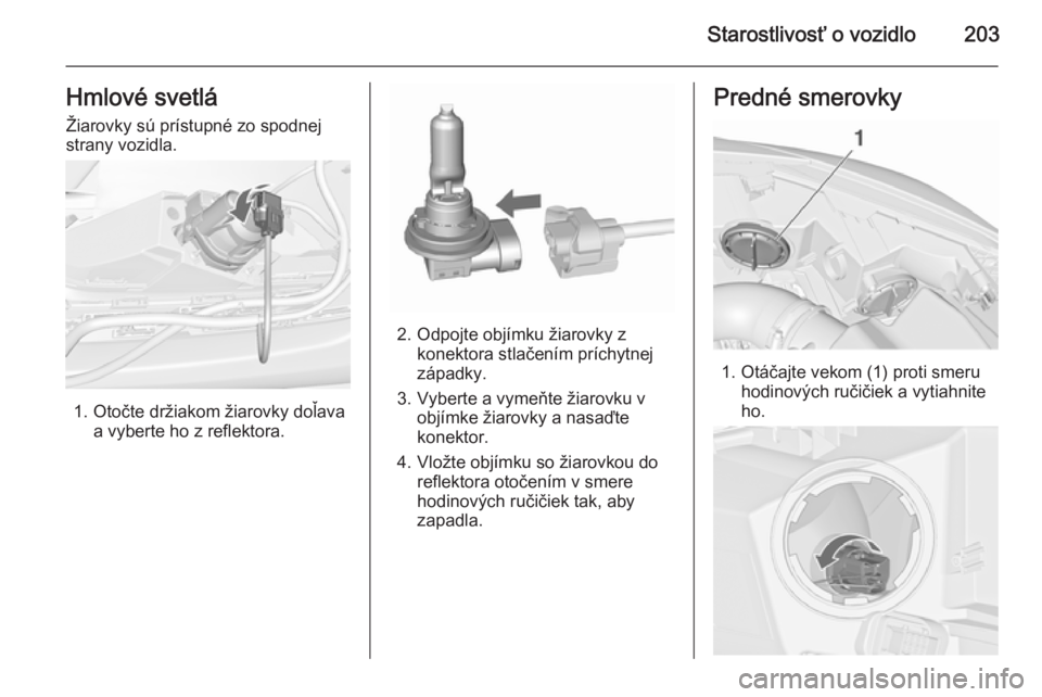 OPEL CASCADA 2015.5  Používateľská príručka (in Slovak) Starostlivosť o vozidlo203Hmlové svetlá
Žiarovky sú prístupné zo spodnej
strany vozidla.
1. Otočte držiakom žiarovky doľava a vyberte ho z reflektora.
2. Odpojte objímku žiarovky zkonekto