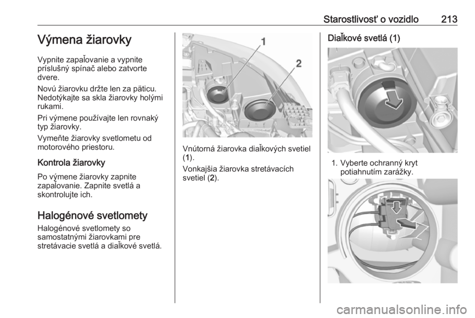 OPEL GRANDLAND X 2019.75  Používateľská príručka (in Slovak) Starostlivosť o vozidlo213Výmena žiarovky
Vypnite zapaľovanie a vypnite
príslušný spínač alebo zatvorte
dvere.
Novú žiarovku držte len za päticu.
Nedotýkajte sa skla žiarovky holými
ru