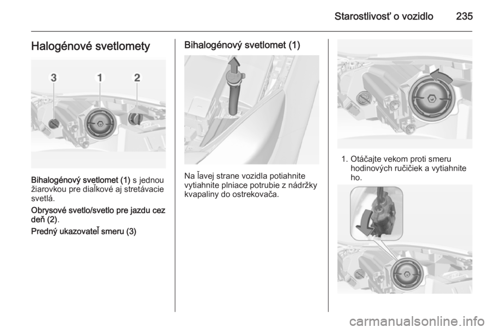 OPEL INSIGNIA 2014  Používateľská príručka (in Slovak) Starostlivosť o vozidlo235Halogénové svetlomety
Bihalogénový svetlomet (1) s jednou
žiarovkou pre diaľkové aj stretávacie
svetlá.
Obrysové svetlo/svetlo pre jazdu cez
deň (2) .
Predný uka